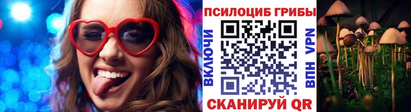 Купить  Артёмовский  Галлюциногенные грибы GOLDEN TEACHER 